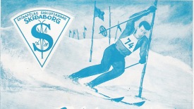 Vatnslitamynd eftir Ragnar P�l