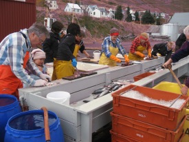 Hausts�ltunin � okt�ber 2009