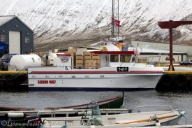 Glsilegur SiglufjararSeigur