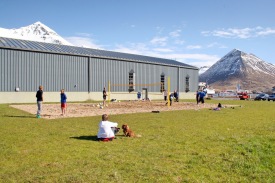 Strandblaksvllur  Raukul.