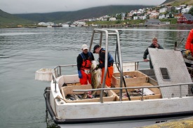 Str orskur