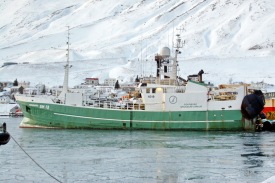 Sigurborg SH-12