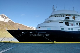 M/S Caledonian Sky