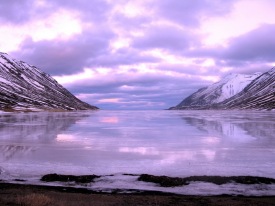 Ljsmynd, Bjarni orgeirsson.