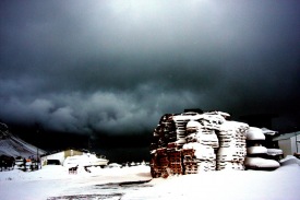 Blksturinn   tilbinn