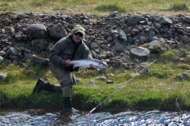 Fyrsti laxinn r Fljta 2011, 80 cm. hrygna.
