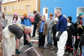 Hkarl skorinn  beitur.