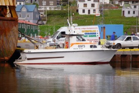 Hulda SI 58 - 6973