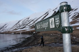 Dau hnsa. Ljsmyndari; Finnur Yngvi Kristinsson