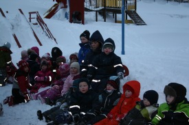 Birna fstra me brnin str og sm