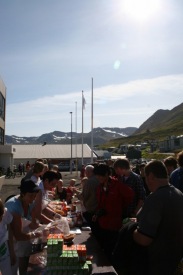 Grilla� � Torginu