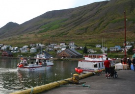 Sj�menn koma me� afla a� landi