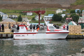 Raggi Gsla SI 73 - 2594