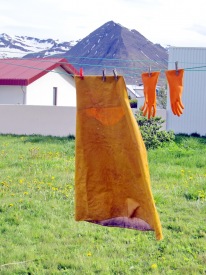 Sldarpils  snru.