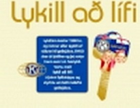 Lykill a lfi