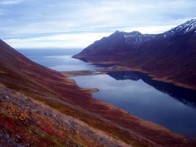Glsilegt tsni.