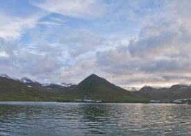 H�lshyrnan er alltaf gl�sileg