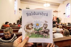 Baldursbr, vintrapera  remur ttum