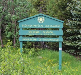 Skgrktin  Skarsdal