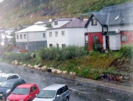 �essa mynd t�k �b�i vi� Hvanneyrarbraut � gegnum gluggan hj� s�r