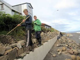 Hrafn og Torfi