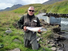 Ritstjóri með 77 cm hæng, 4,8 kg samkvæmt kvarðanum, en skráður 5 kg, sem sagt 10 pund og byggt á þreklegum vexti. Laxinn tók Black and Blue hálfs tommu keilu í Neðri Prestlænu en var landað miklu neðar eftir æsilegan eltingarleik niður hraðar flúðir og u